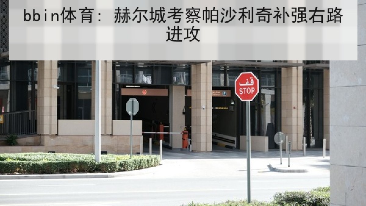 bbin体育: 赫尔城考察帕沙利奇补强右路进攻
