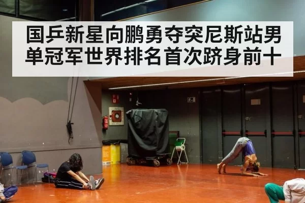 国乒新星向鹏勇夺突尼斯站男单冠军世界排名首次跻身前十