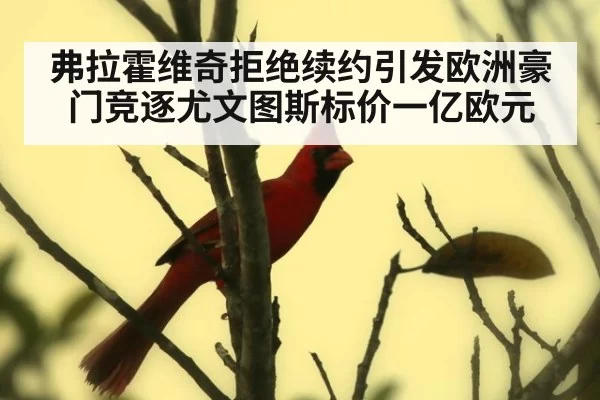 弗拉霍维奇拒绝续约引发欧洲豪门竞逐尤文图斯标价一亿欧元